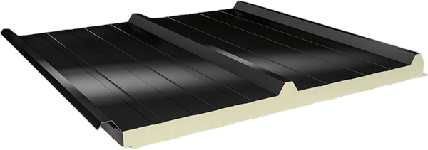 3 Hadveli Çatı Paneli