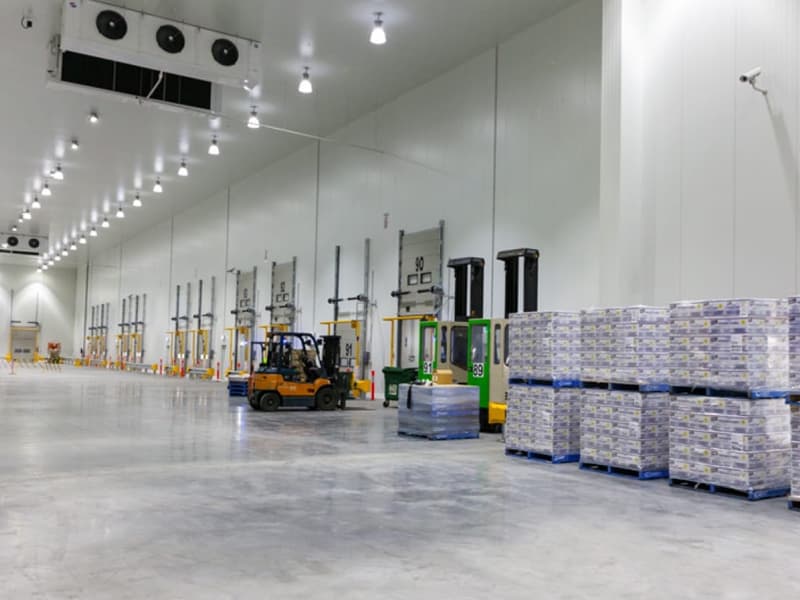 Meyve Depoları ve Olgunlaştırma