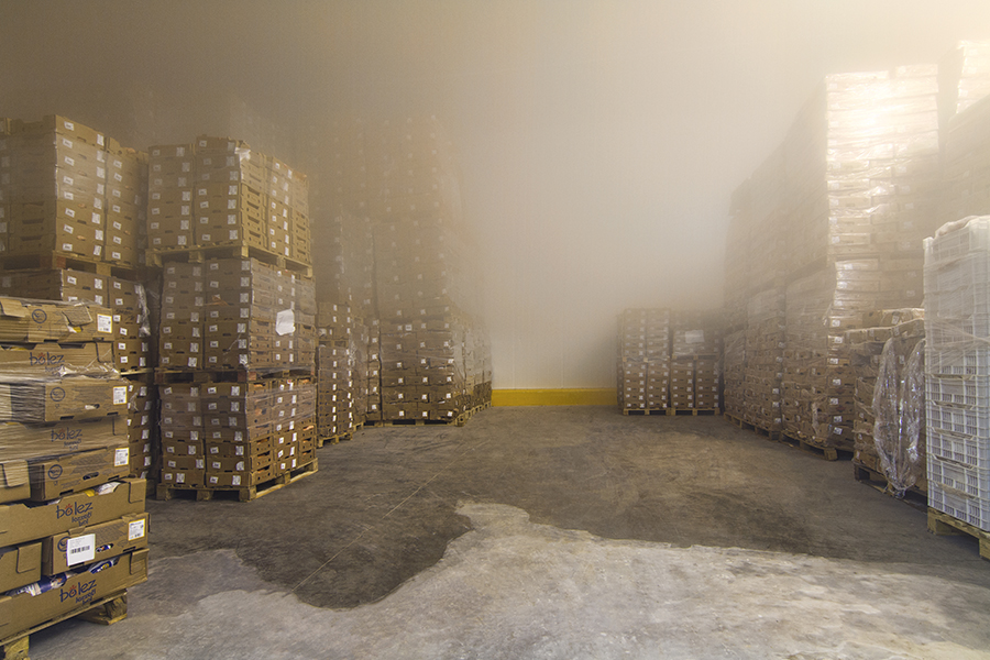 Antrepo soguk hava deposu Moody Group