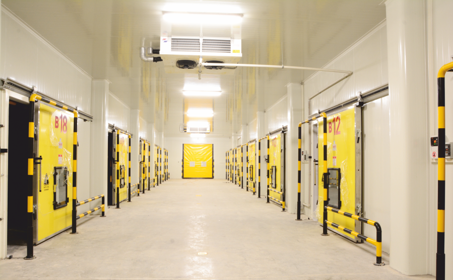 Atmosfer kontrollü CA depo