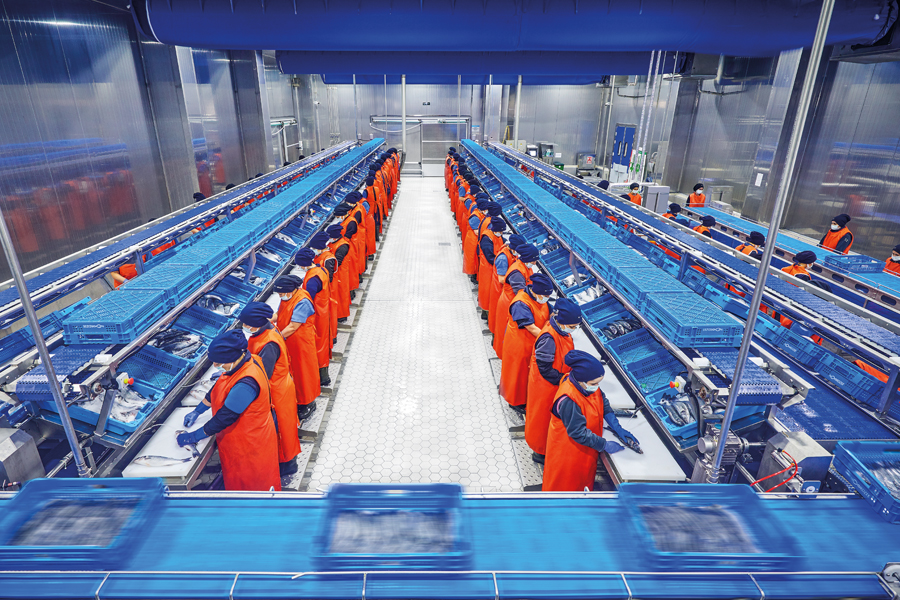 Balık su ürünleri soğuk hava deposu