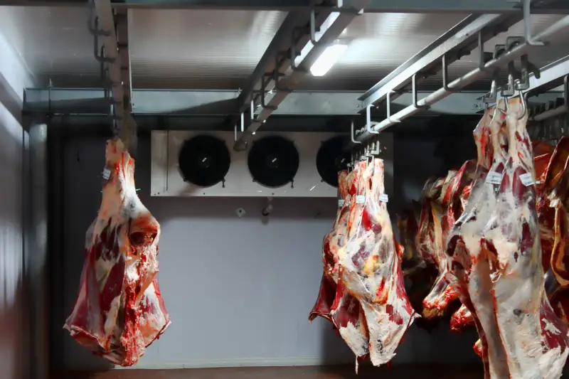 Et soğuk hava deposu genel görünüm — Moody Group