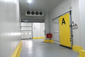 İstanbul Havalimanı Kargo