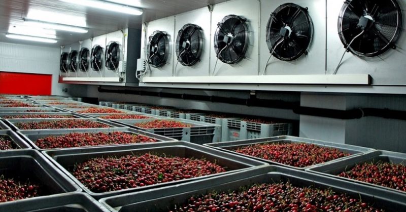 Kiraz Deposu Soğuk Oda