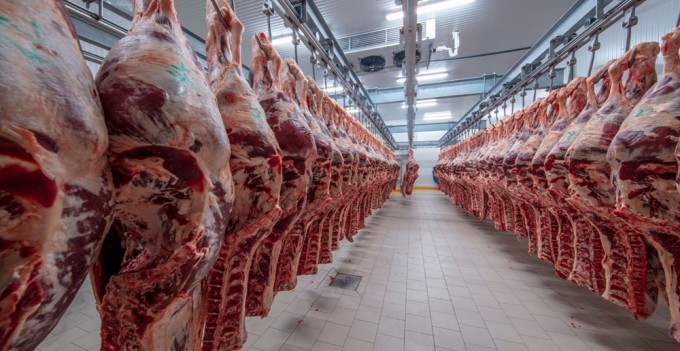 Monoray geçişli kırmızı et soğuk hava deposu — ray sistemi detayı