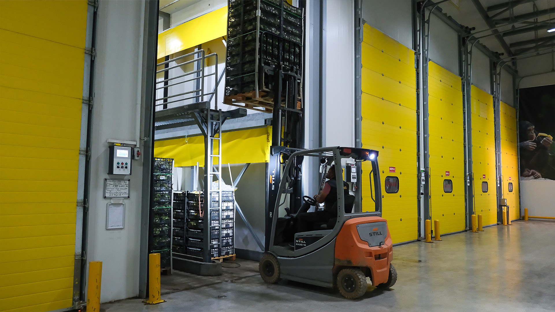 Meyve olgunlastirma tesisi