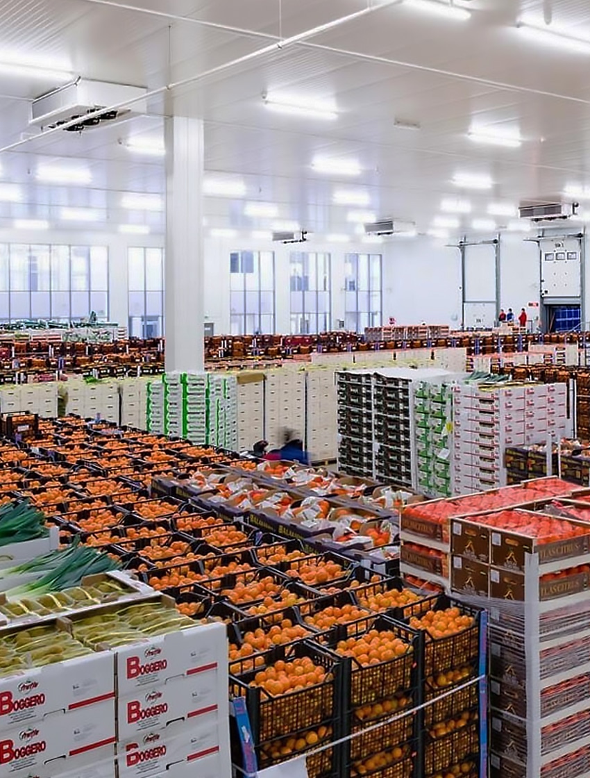 Meyve soguk hava deposu