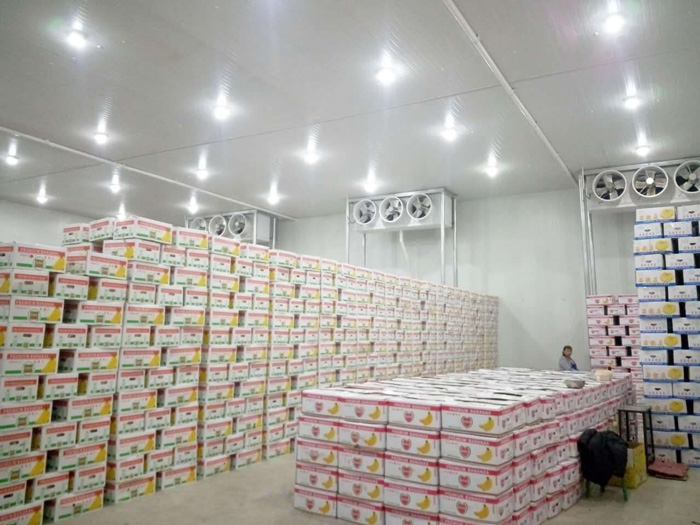 Meyve depoları ve olgunlaştırma odaları