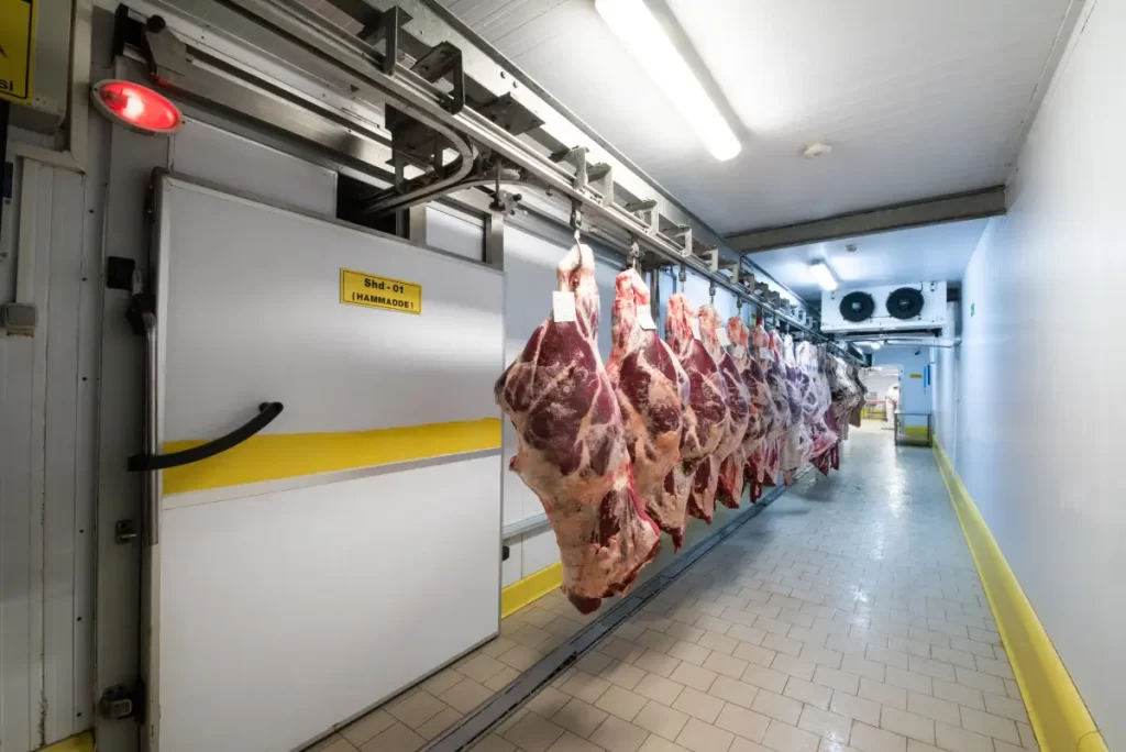 Monoray Geçişli Soğuk Hava Deposu