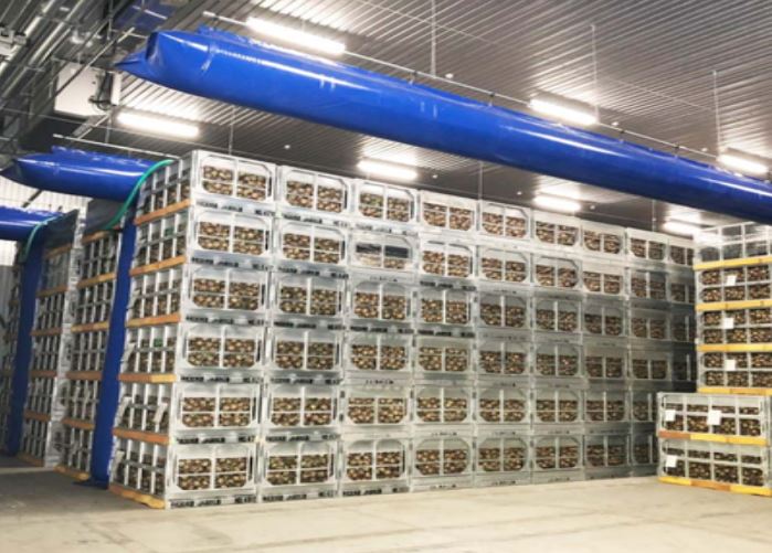 Moody Group Patates Depolama