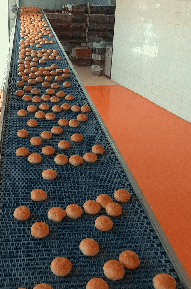 Pastane ürünleri hızlı soğutma sistemi — fırın ürünleri blast soğutma Moody Group