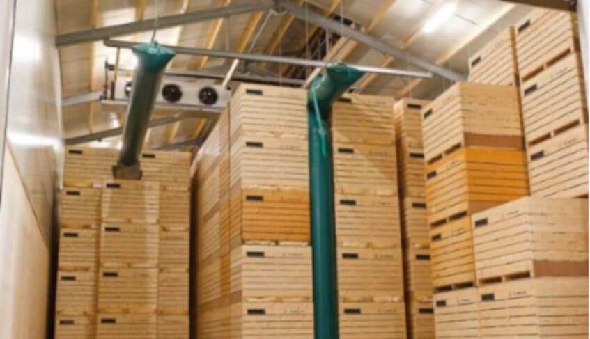 Patates soğan soğuk hava deposu