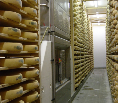 Peynir Olgunlaştırma Odası