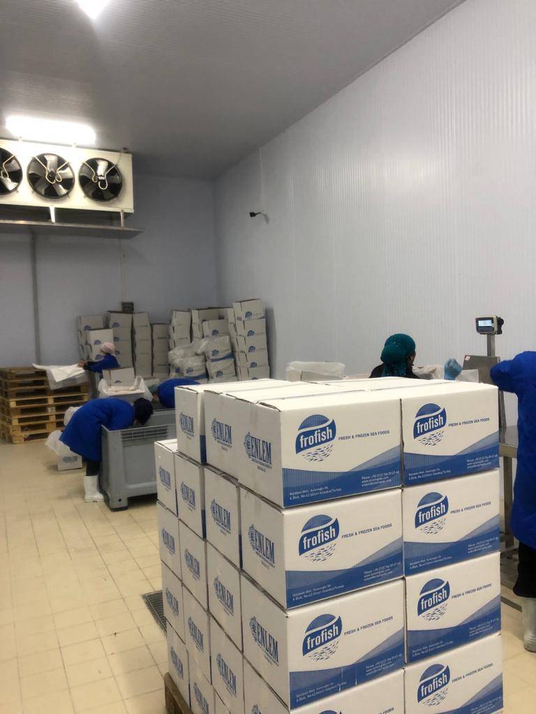 Su ürünleri ortam soğutma paketleme odası — Moody Group