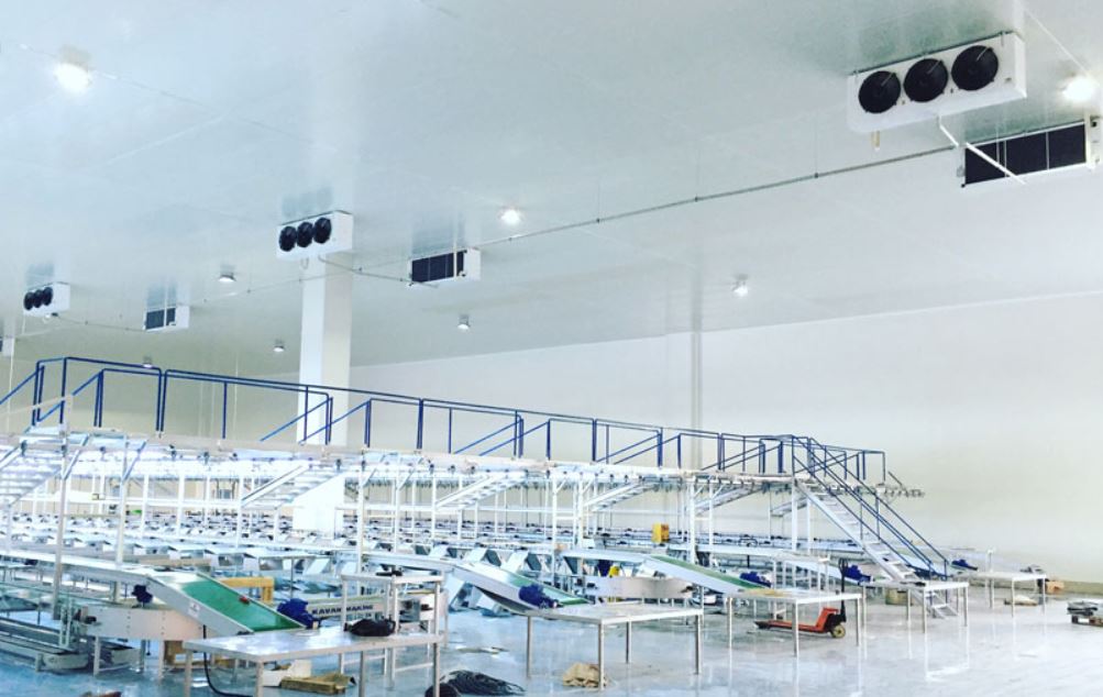 Unlu Mamul Üretim Alanı