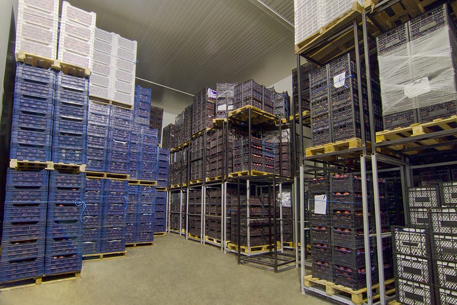 Antrepo lojistik soğuk hava deposu iç depo görünüm