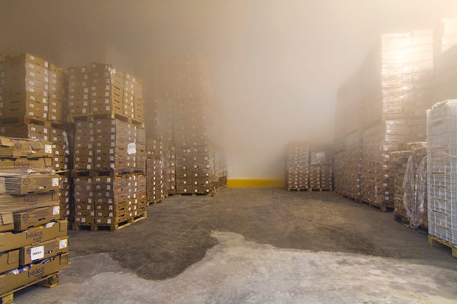 Antrepo lojistik soğuk hava deposu gümrüklü depo kurulumu