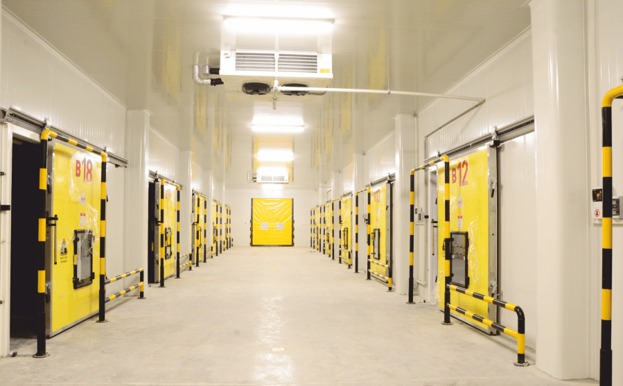 Atmosfer kontrollü soğuk hava depoları — 18 oda koridordan genel görünüm Moody Group