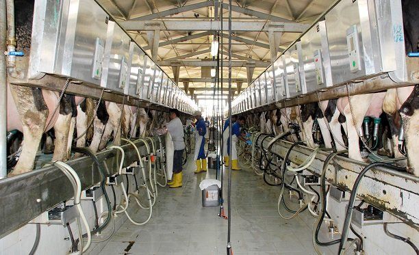 Süt Ürünleri İçin Soğuk Oda,soğuk hava depoları,Süt ürünlerinde,Süt ve Süt Ürünleri,
