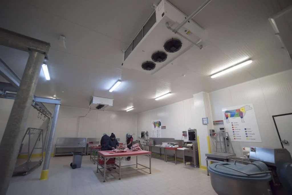 Kasap soğuk hava deposu işleme alanı — HACCP uyumlu kırmızı et işleme odası