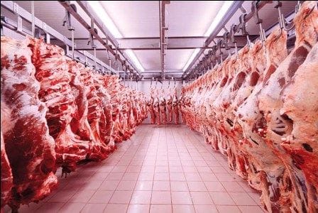 Kırmızı et soğuk hava deposu iç görünüm — monoray karkas askı sistemi