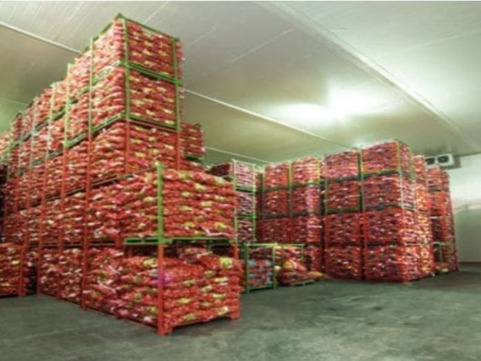 Moody Group soğan soğuk hava deposu tesisi — etilen yönetimli soğan depolama