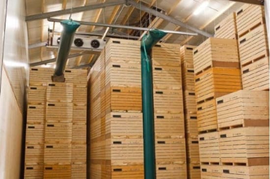 Patates soğan soğuk hava deposu havalandırma sistemi — CO₂ ve nem yönetimi