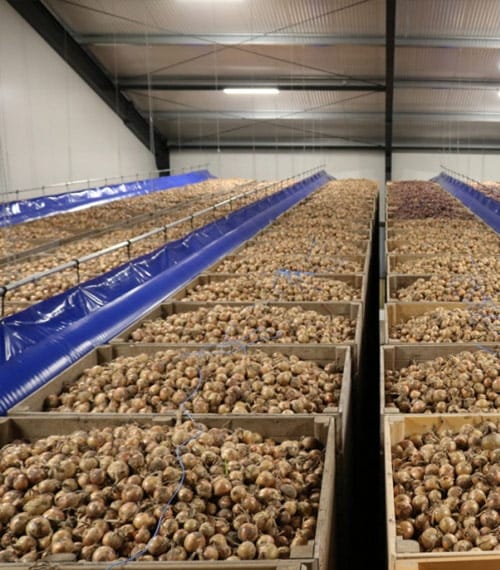 Patates soğuk hava deposu depo iç görünümü — 7/24 SCADA izlemeli sistem