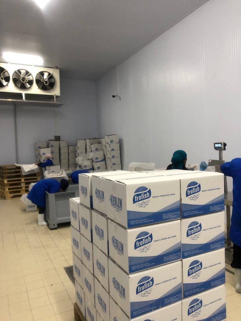 Su ürünleri ortam soğutma paketleme odası — Moody Group